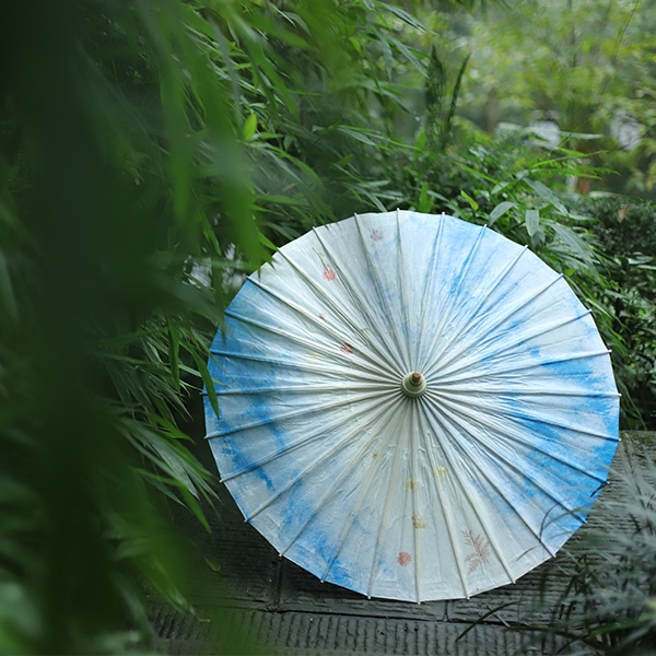 植物标本油纸伞